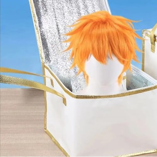 Wig Travel Box Collapsible Wig Storage Box with Padded Protective Cover Fursuit Head Carry Case for Cosplay Wig Neck Fluff Paws Tail Hoof Boot Suits Styrofoam Model Heads Mannequin Stand