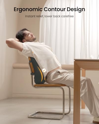 ProtoArc Lumbar Support Pillow for Office Chair, Memory Foam Back Support Pillow for Lower Back Fatigue Relief, Lumbar Pillow Desk Chair Back Cushion, Ergonomic Back Rest for Chair - Dark Gray - color: Dark Gray