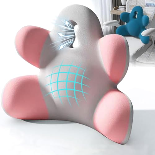 Lumbar Support Pillow for Office Chair, Back Pillow Lumbar Support for Car, Chair, Sofa - Improve Lower Back Pain Relief & Sitting Posture, Memory Foam Back Cushion for Long Sitting (B-Pink Grey) - color: B-pink Grey
