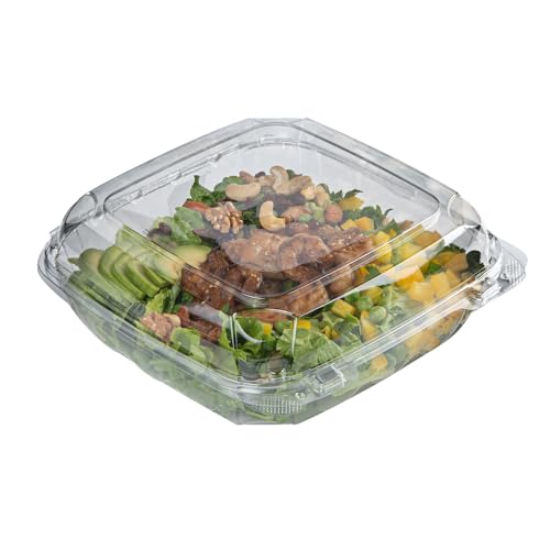 Restaurantware Thermo Tek 45.7 Ounce Clamshell Containers 100 Anti-Fog To Go Food Containers - Freezable Rectangle Clear Plastic Food Packaging Containers Disposable - size: 46 oz