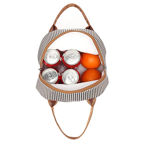 FlowFly Insulated Lunch Cooler Bag - Tote Bag Organizer for Women/Men, Coffee - color: Coffee