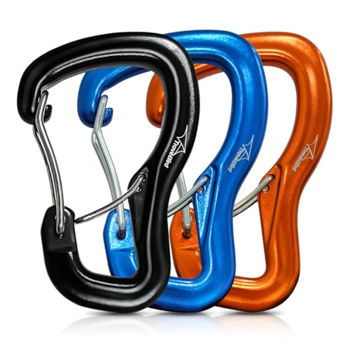 Heavy Duty Carabiner Clip Hook 8KN (1763 lbs), 2 PCS Ultra-Light Aluminum Caribeaners with Double Door D Ring Shape, for Hammock, Camping, Hiking, Backpacking, Dog Leash, Keychain Clip - style: 1#Rainbow-3pc