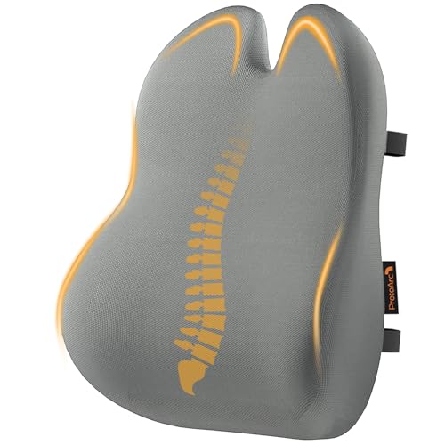ProtoArc Lumbar Support Pillow for Office Chair, Memory Foam Back Support Pillow for Lower Back Fatigue Relief, Lumbar Cushion Desk Chair Back Cushion, Ergonomic Back Rest for Chair, Car - Gray - color: Gray