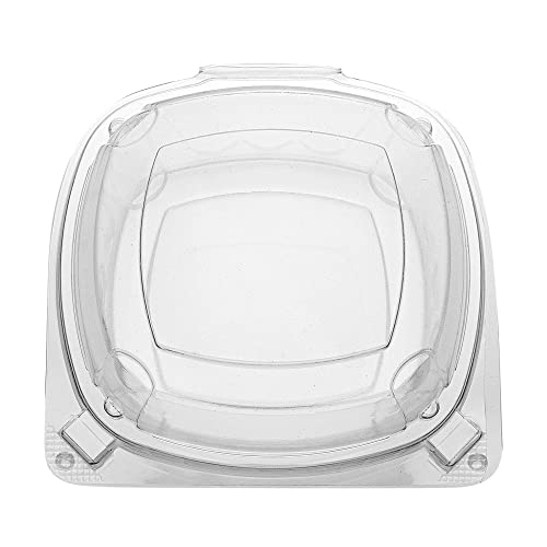 Restaurantware Thermo Tek 18.6 Ounce Clamshell Containers 100 Anti-Fog To Go Food Containers - Freezable Rectangle Clear Plastic Food Packaging Containers Disposable - size: 19 oz