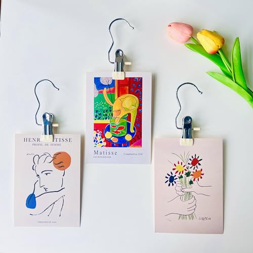 Hangers Clips,Stainless Multi Function Clip Hooks,Laundry Hanging Hooks Clips,Closet Hangers,Boot Clips， Hats Clips,Socks Clips,Pants Clips, Bras Clips (30, Blue) - color: Blue