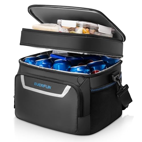 EVERFUN Small Compact Cooler Bag 24/48 Can Insulated Lunch Box Double Deck Soft Leak-Proof Waterproof Collapsible Ice Chest for Men Women Work Travel Car Trip Picnic Beach - color: Black, size: Medium