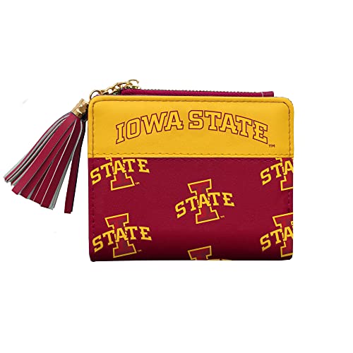 Littlearth NCAA Alabama Crimson Tide Mini Organizer, Team Color, One Size - color: Iowa State Cyclones