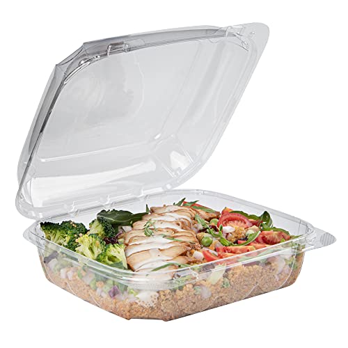 Restaurantware Thermo Tek 33.8 Ounce Clamshell Containers 100 Anti-Fog To Go Food Containers - Freezable Square Clear Plastic Food Packaging Containers Disposable - size: 39 oz