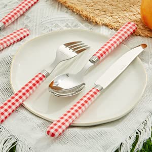 ANNOVA Stainless Steel Colorful Tableware Kitchen Flatware Set Utensils, Includes Dinner Knives, Forks, Spoons, Salad Forks & Dessert Spoons, Modern Rounded Shape (Red Checkered, 20 Pieces) - color: Red