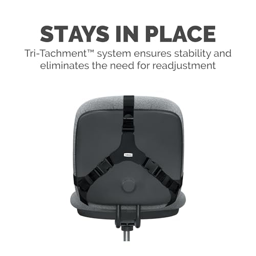 Fellowes Professional Series Back Support, Black (8037601) - size: True
