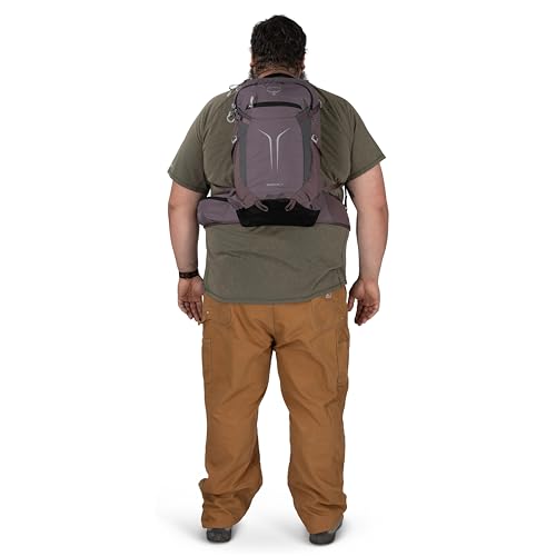 Osprey Sportlite 25L Lightweight Hiking Backpack for Men and Women - Everyday Hiking Bag - Travel Daypack, Extended Fit - color: Graphite Purple, style: 25l - Extended Fit