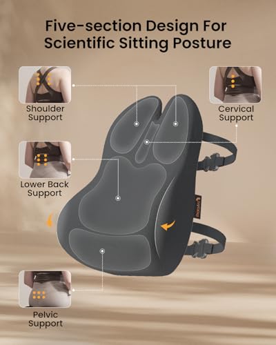 ProtoArc Lumbar Support Pillow for Office Chair, Memory Foam Back Support Pillow for Lower Back Fatigue Relief, Lumbar Pillow Desk Chair Back Cushion, Ergonomic Back Rest for Chair - Dark Gray - color: Dark Gray