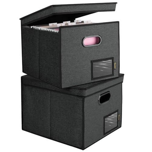BALEINE File Organizer Box with Lid, Collapsible File Folder Organizer with Plastic Slide, Hanging File Folder Box for Office Document Storage (Tab Friendly, 2 Pack, Black) - color: Black, size: 2 Pack (Tab Friendly)