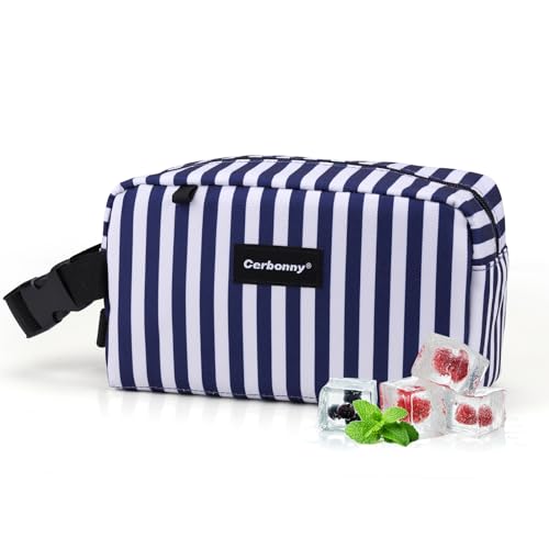Freezable Lunch Bag,Freezable Snack Bag,Mini Cooler Bag for Travel/Work/School,Small Insulated Bag,Small Cooler Lunch Box with Ice Packs,Insulated Snack Bag,Freezable Snack Box with Handle Buckle - color: Blue Stripes