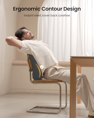 ProtoArc Lumbar Support Pillow for Office Chair, Memory Foam Back Support Pillow for Lower Back Fatigue Relief, Lumbar Cushion Desk Chair Back Cushion, Ergonomic Back Rest for Chair, Car - Gray - color: Gray