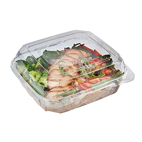Restaurantware Thermo Tek 33.8 Ounce Clamshell Containers 100 Anti-Fog To Go Food Containers - Freezable Square Clear Plastic Food Packaging Containers Disposable - size: 39 oz