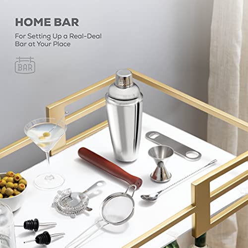 FineDine 10-Piece Cocktail Shaker Set with Travel Bag - Stainless Steel Shaker Set Bartender Kit - Mixology Bartender Kit - Strainer, Muddler, Jigger, Bar Spoon, Bottle Opener, Pour Spouts - Bar Set - size: 10-Piece