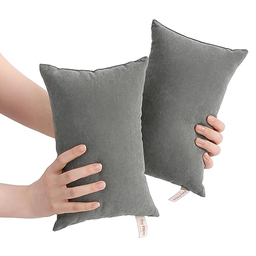 BEDSUM Tiny Pillows, 11x7 Mini Microfiber Small Pillow for Neck and Lumbar Support - Machine Washable Cushion for Office Desk, Backpacking and Travel - Pillow Inserts, 2 Pack, Dark Grey - color: Dark Grey, size: 11x7 inches