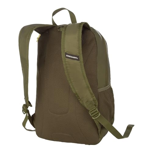 Eddie Bauer Stowaway Packable Backpack | Travel | Outdoor | Lightweight | Foldable | Durable | Ripstop Polyester | 30L - Irish Green - color: Irish Green, size: 30L