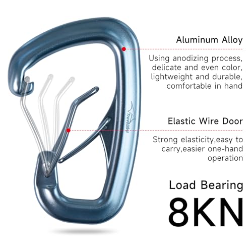 Heavy Duty Carabiner Clip Hook 8KN (1763 lbs), 2 PCS Ultra-Light Aluminum Caribeaners with Double Door D Ring Shape, for Hammock, Camping, Hiking, Backpacking, Dog Leash, Keychain Clip - style: 2#Silver-2pc