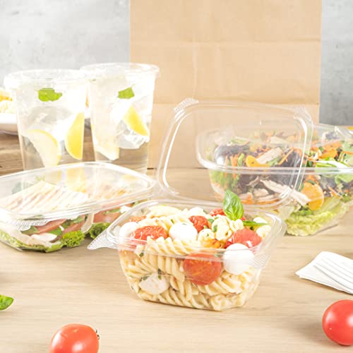 Restaurantware Thermo Tek 16 Ounce Deli Food Containers 100 Anti-Fog Hinged Lid Containers - Freezable Rectangle Clear Plastic To Go Food Containers Disposable - size: 16 oz