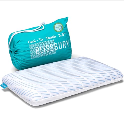 BLISSBURY 3.3 Inch Cooling Super Thin Pillow for Sleeping | Flat for Stomach & Back Sleeper | Cooling Memory Foam to Provide Comfort When Resting | Removable Cool-to-Touch Pillow Case - color: Cooling (White), size: 3.3"H (Queen)