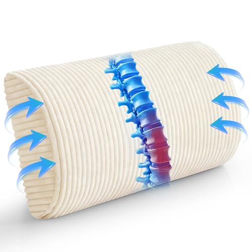 HIGOGOGO Lumbar Support Pillow for Recliner Chair/Accent Chair/Couch, Memory Foam Back Support Cushion for Elderly, Recliner Cushions for Back Rest, Pain Relief, Reading, Washable Cover, Beige - color: Beige, size: 20"x10"x4"
