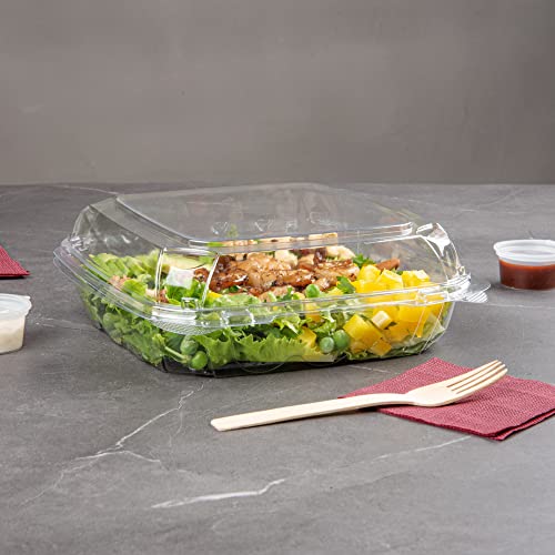 Restaurantware Thermo Tek 45.7 Ounce Clamshell Containers 100 Anti-Fog To Go Food Containers - Freezable Rectangle Clear Plastic Food Packaging Containers Disposable - size: 46 oz