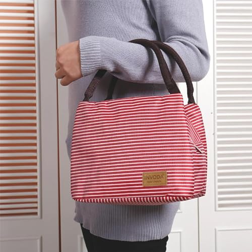 2PCS Lunch Bags Reusable Lunch Tote Bags Portable Lunch Cooler Bag Lunch Holder Insulated Lunch Box Bag for Picnic Office Beach (Blue+Red) - color: Blue+Red