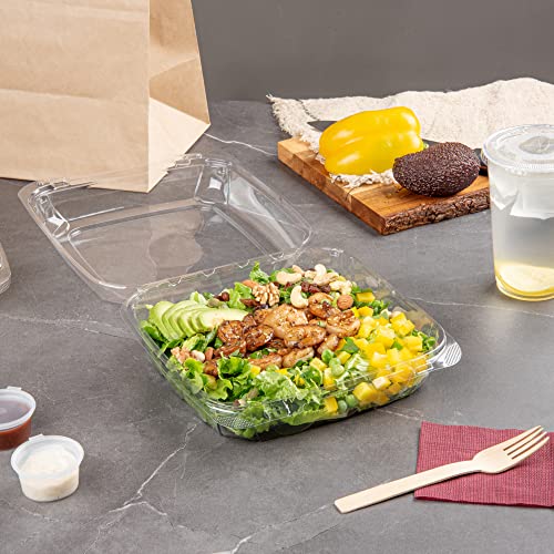 Restaurantware Thermo Tek 45.7 Ounce Clamshell Containers 100 Anti-Fog To Go Food Containers - Freezable Rectangle Clear Plastic Food Packaging Containers Disposable - size: 46 oz