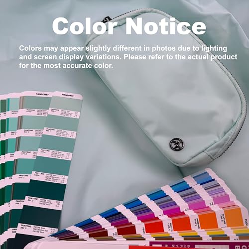Pander Belt Bag for Women, Fashion Waist Packs, Crossbody Bags, Everywhere Belt Bag with Adjustable Strap (Pale Turquoise). - color: Pale Turquoise