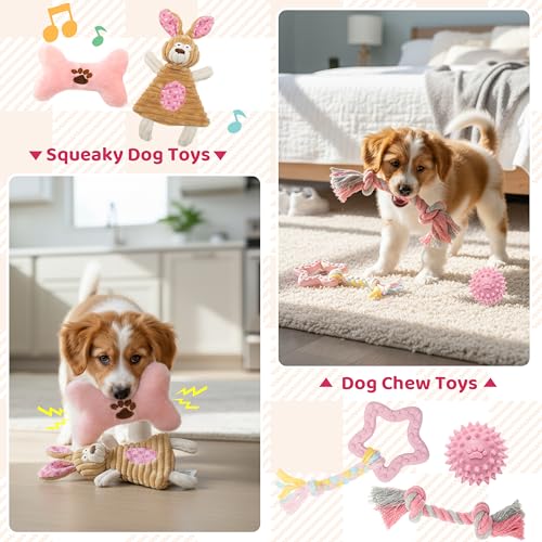 FLYSTAR Puppy Supplies Starter Kit - 42 pcs Puppy Essentials Includes Dog Squeaky Toys, Collar, Leash, Treat Bag, Poop Waste Bag, Blanket, Bowls, Water Bottles, Brush, Training Clicker and More. - color: Pink, size: 42 pcs