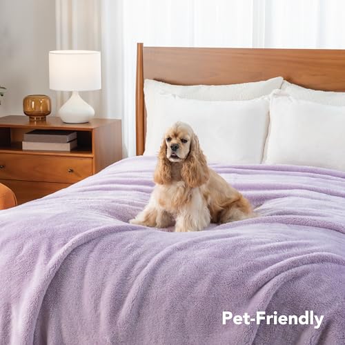 Berkshire Blanket Classic Extra-Fluffy™ Plush Blanket Twin Size, Soft Fuzzy Fluffy Long Hair Blanket for Couch Sofa Bed, Pastel Lilac Purple, 60x92 Inches - color: Pastel Lilac, size: Twin/Twin XL