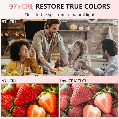 BANSINE LED Phone Light - USB-Rechargeable Portable Photo Light with 97+ CRI, Up to 6500K Color Temperature for Selfie, Zoom Conference, Video, Makeup and Live Stream - color: Pink