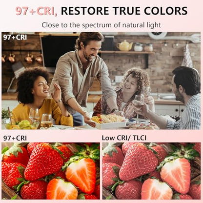 BANSINE LED Phone Light - USB-Rechargeable Portable Photo Light with 97+ CRI, Up to 6500K Color Temperature for Selfie, Zoom Conference, Video, Makeup and Live Stream - color: Pink