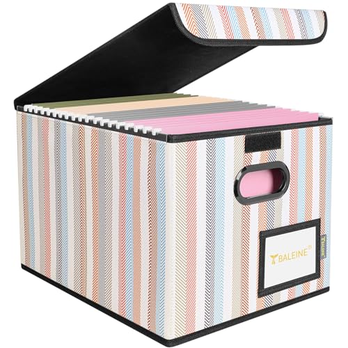 BALEINE File Organizer Box with Lid, Collapsible File Folder Organizer with Plastic Slide, Hanging File Folder Box for Office Document Storage (1 Pack, Color Stripe) - color: Color Stripe, size: 1 Pack