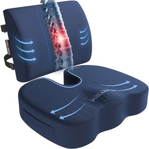 FORTEM Seat Cushion, Office Chair Cushion, Lumbar Support Pillow for Office Chair, Memory Foam Car Seat Cushions, Sciatica Coccyx Tailbone Pain Relief, Cushions for Back Support, Washable, Non Slip XL - color: Blue Mesh, size: X-Large