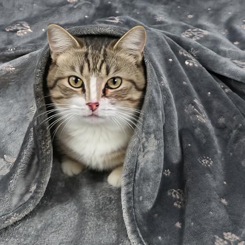 Luxury Grey Throw Blanket with Rose Gold Foil Print- 50x70 Inch, Soft Cozy Plush Fuzzy Exquisite Design Fleece Blankets and Throws for Couch Bed Travel Camping Use - color: Grey, size: 50 X 70 Inches