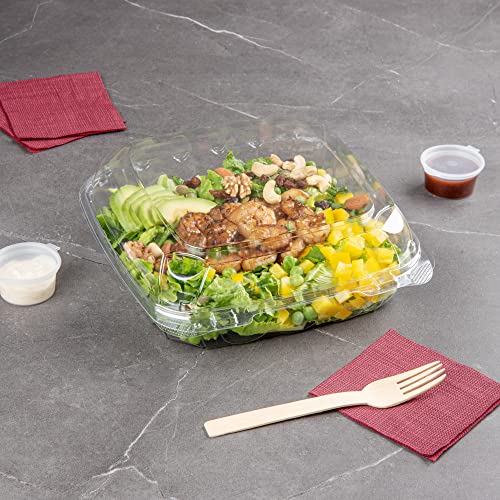 Restaurantware Thermo Tek 45.7 Ounce Clamshell Containers 100 Anti-Fog To Go Food Containers - Freezable Rectangle Clear Plastic Food Packaging Containers Disposable - size: 46 oz