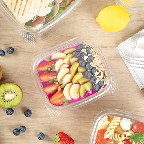 Restaurantware Thermo Tek 12 Ounce Deli Food Containers 100 Anti-Fog Hinged Lid Containers - Freezable Rectangle Clear Plastic To Go Food Containers Disposable - size: 12 oz