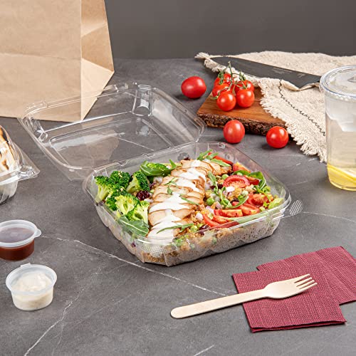 Restaurantware Thermo Tek 33.8 Ounce Clamshell Containers 100 Anti-Fog To Go Food Containers - Freezable Square Clear Plastic Food Packaging Containers Disposable - size: 39 oz