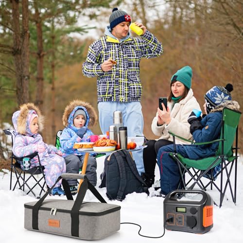 Food Warmer Electric Casserole Carrier - Large Heated Lunch Bag for Car Truck, 12V/24V/110V, Thermos for hot food for Potluck Cookouts Parties Picnic,Lasagna Lugger,Fits 9"x13" Baking Pan - size: gray