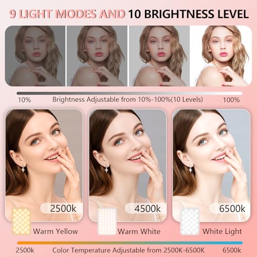 BANSINE LED Phone Light - USB-Rechargeable Portable Photo Light with 97+ CRI, Up to 6500K Color Temperature for Selfie, Zoom Conference, Video, Makeup and Live Stream - color: Pink