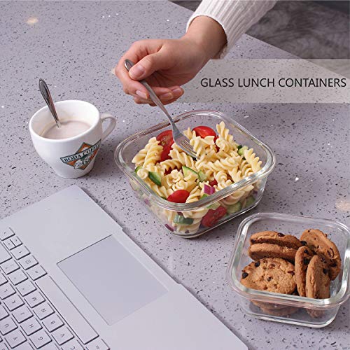 AILTEC Glass Food Storage Containers with Lids, [18 Piece] Glass Meal Prep Containers Set, Airtight Leak Proof, Oven Freezer Dishwasher Safe, BPA Free (9 Lid & 9 Container) - color: clear