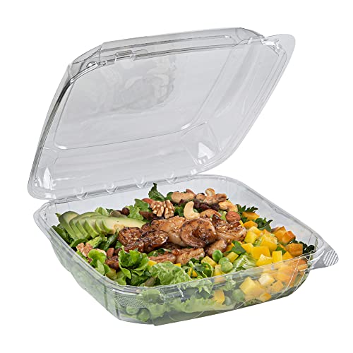 Restaurantware Thermo Tek 45.7 Ounce Clamshell Containers 100 Anti-Fog To Go Food Containers - Freezable Rectangle Clear Plastic Food Packaging Containers Disposable - size: 46 oz