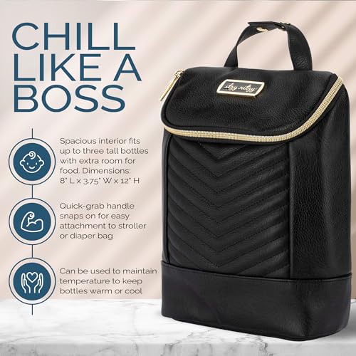 Itzy Ritzy Insulated Bottle Bag – Keeps Bottles Warm or Cool - Holds 3 Bottles and Features Interior Pocket For Ice Pack (Not Included), Jetsetter - color: Jetsetter
