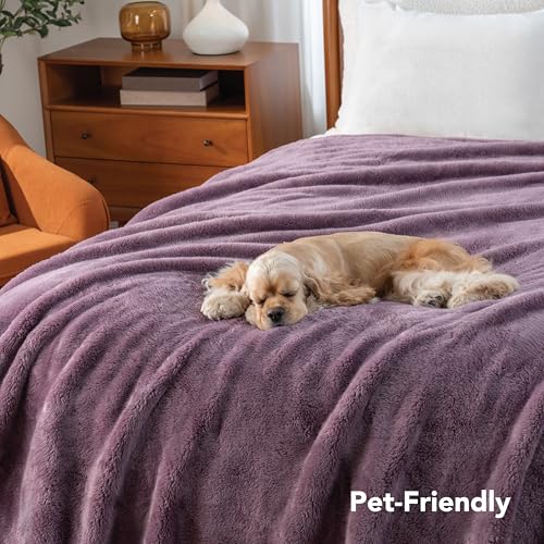 Berkshire Blanket Classic Extra-Fluffy™ Plush Blanket Queen Size, Soft Fuzzy Fluffy Long Hair Blanket for Couch Sofa Bed, Plum Smoke, 90x90 Inches - color: Plum Smoke, size: Full/Queen