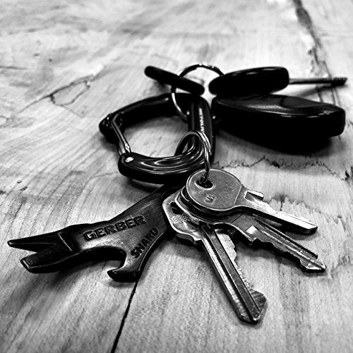 Gerber Gear Shard Keychain - Multitool Keychain with Bottle Opener, Screwdriver, and Wire Stripper - EDC Gear and Equipment - Black - style: 7-in-1 Multi Tool Keychain - Black