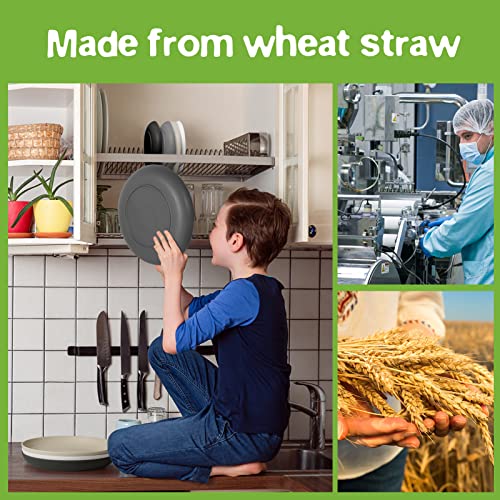 Teivio 32-Piece Kitchen Plastic Wheat Straw Dinnerware Set, Service for 8, Dinner Plates, Dessert Plate, Cereal Bowls, Cups, Unbreakable Colorful Plastic Outdoor Camping Dishes, Gray Stone - color: Gray Stone