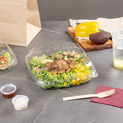 Restaurantware Thermo Tek 45.7 Ounce Clamshell Containers 100 Anti-Fog To Go Food Containers - Freezable Rectangle Clear Plastic Food Packaging Containers Disposable - size: 46 oz